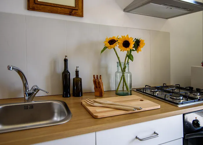 Studio_suite05 Apartment *